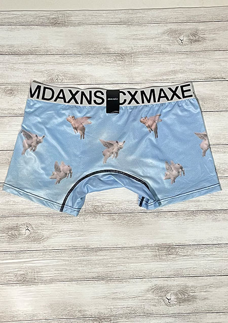 MAXSIX FLYING PIG BOXER PANTS | SKY BLUE