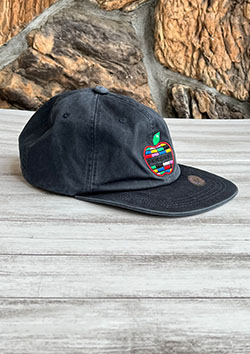 PARAGRAPH CAP | NAVY