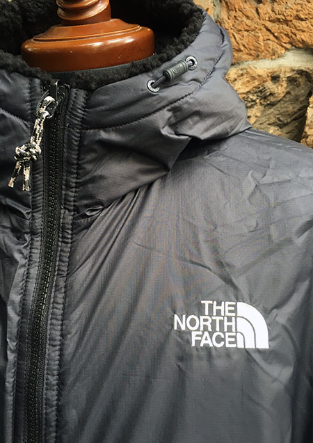 THE NORTH FACE PLAY GREEN RVS FLEECE HOODIE | BLACK