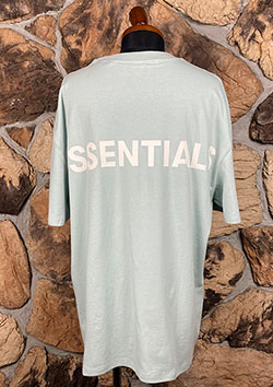 FOG ESSENTIALS REFLECTOR LOGO SS TEE | MINT