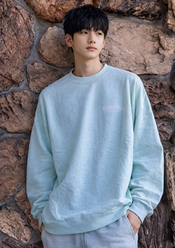FOG ESSENTIALS 1POINT LOGO CREW SWEAT | MINT