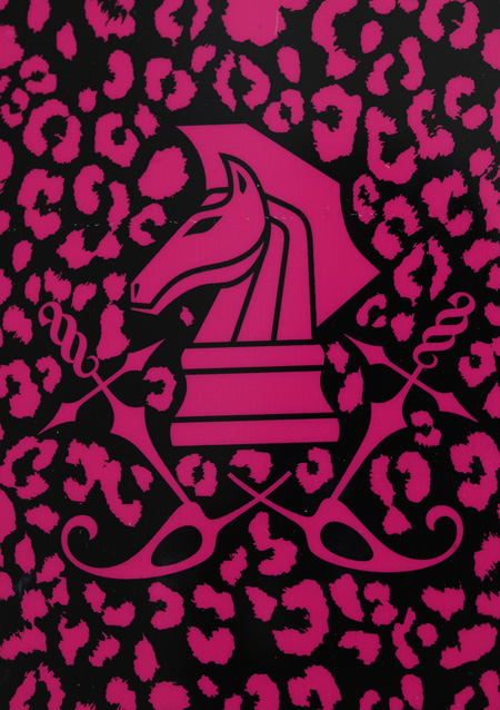 KNIGHT MOTIF IPHONE6 PLUSケース