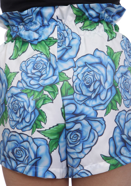 BRUSH ROSE SHORTS